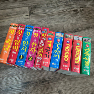 글송이 어린이 첫사전 10권