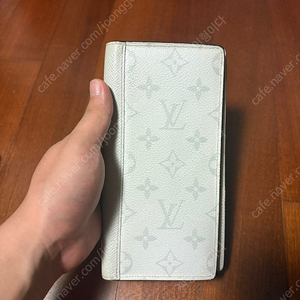 루이비통 안타르티카 장지갑