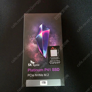 SK 하이닉스 P41 플레티넘 1TB