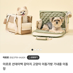 아르르 애견가방