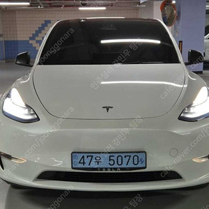 테슬라 모델 Y 중고 테슬라 중고 흰색 2021년식 79,502km 스탠다드 레인지 중고차카페