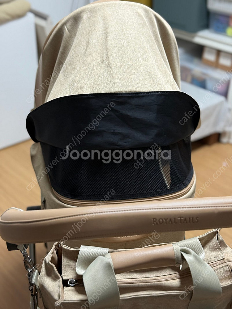 로얄테일즈 그레이스 플러스 (라지사이즈) 베이지 강아지...--2