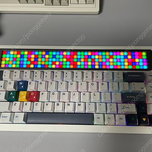앵그리미아오 RGB65 화이트 번들 팝니다.