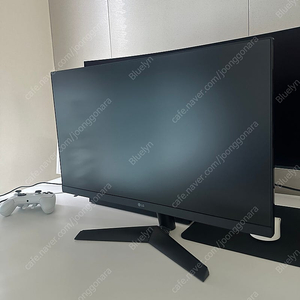 LG 24GN60R