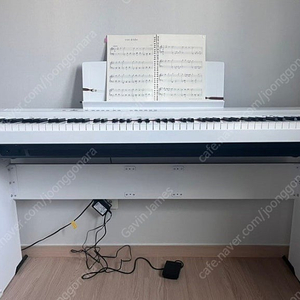 Yamaha p125a white 건반 (미디가능) 판매합니다