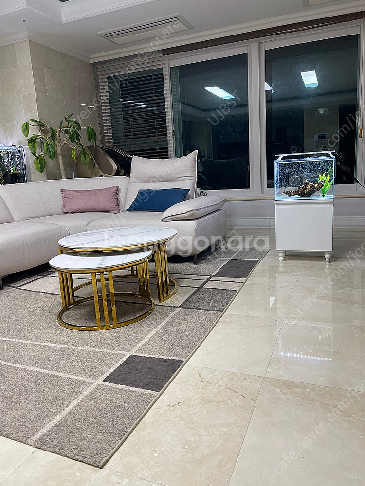 (경기 북부) 그로비타 올디아망 자반 45X30X32 수조 받침대 어항 세트 상태 S급 판매 (개별 가능)--0