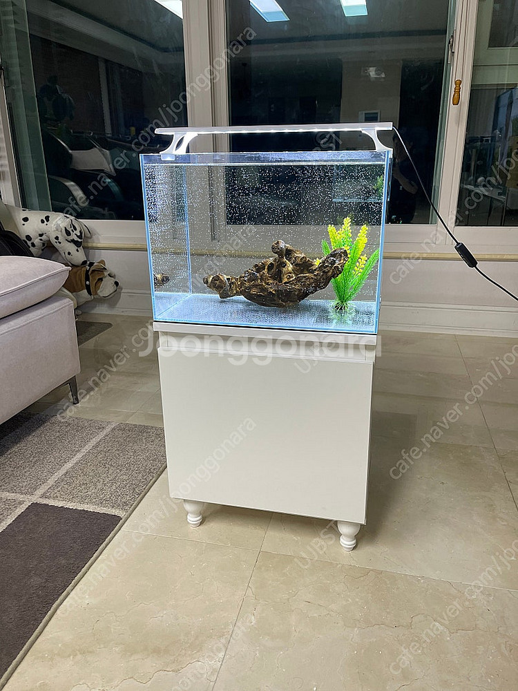 (경기 북부) 그로비타 올디아망 자반 45X30X32 수조 받침대 어항 세트 상태 S급 판매 (개별 가능)--1