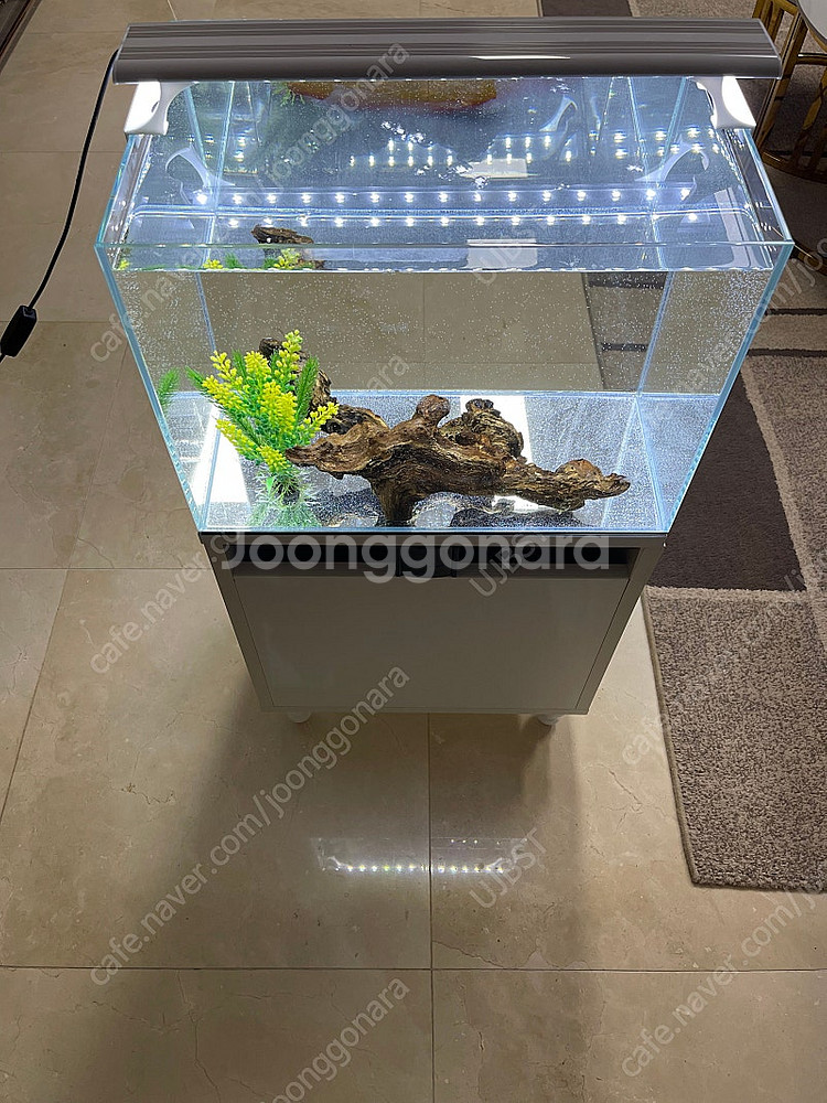 (경기 북부) 그로비타 올디아망 자반 45X30X32 수조 받침대 어항 세트 상태 S급 판매 (개별 가능)--5