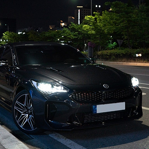 1인신조) 스팅어 마이스터 3.3 RWD
