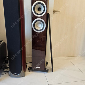 탄노이 precision6.2 스피커