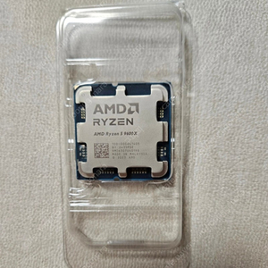 라이젠 9600x