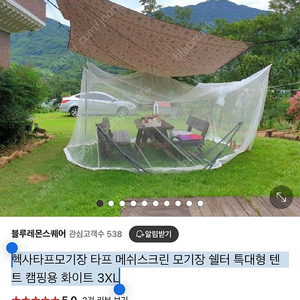 타프 모기장 - 헥사타프모기장 타프 메쉬스크린 모기장 쉘터 특대형 텐트 캠핑용 화이트 3XL
