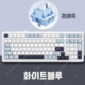 독거미 AURA F99 경해축 화이트블루 팝니다.