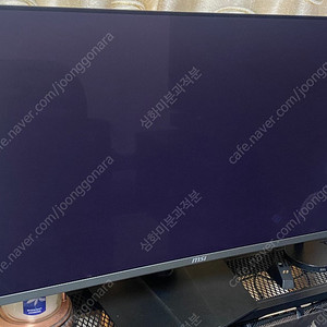 MSI MPG 321URX(5월 구매)