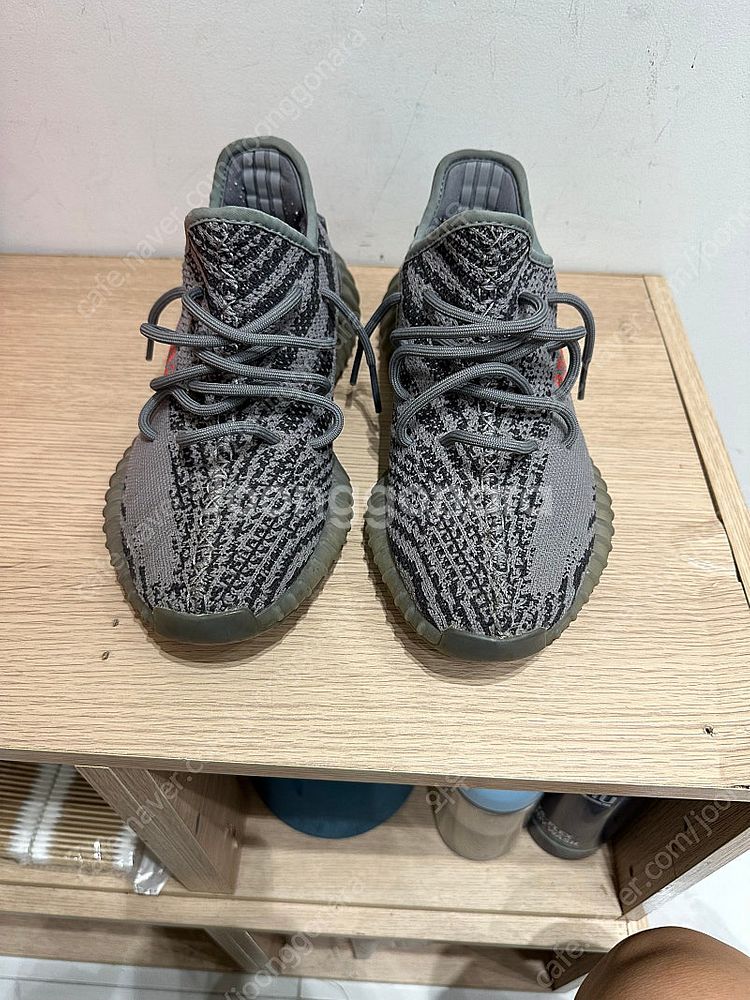 이지부스트350v2 벨루가 255--1