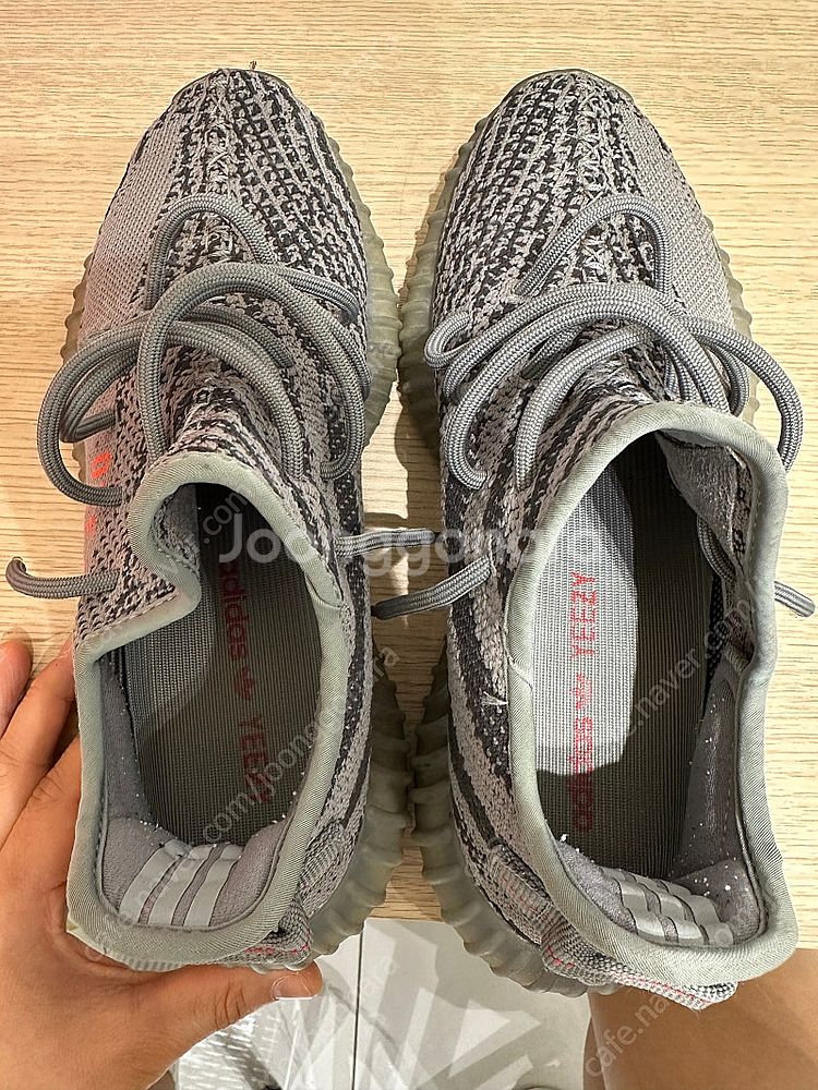 이지부스트350v2 벨루가 255--2
