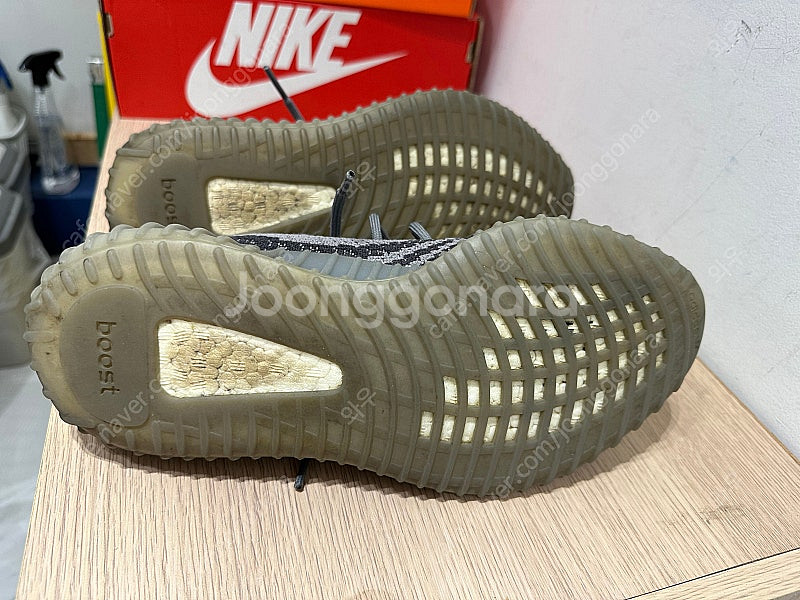 이지부스트350v2 벨루가 255--3