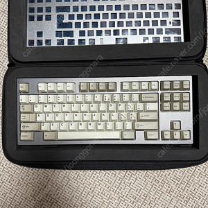 lz mp 그레이