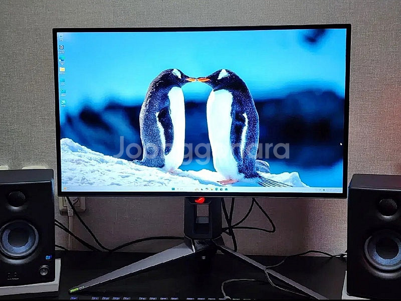 ASUS oled 27인치 모니터--0