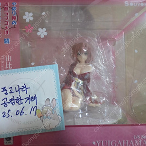 fate, 라이자 외 기타 미소녀 피규어 팝니다.