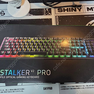 레이저 데스스토커v2 pro (설명필독)