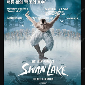 6/21(토) 백조의호수 lg시그니처석 2장 판매합니다