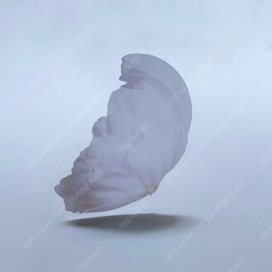 (미개봉) 한정판 이옥토 작약 책갈피 포함 처음 본 새를 만났을 때처럼 꽃