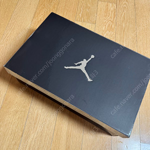 Jordan 10 Retro Chicago Bulls 2012 (조던 10 레트로 시카고 불스 2012)-(310805-100)