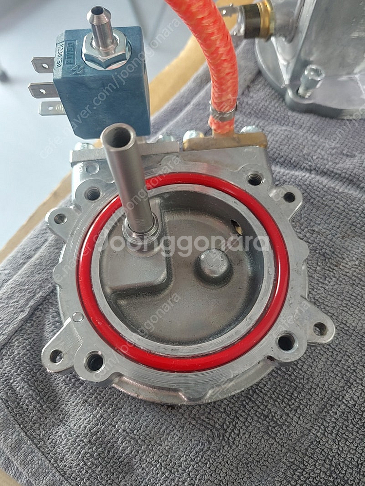 가찌아클래식프로. 화이트--3