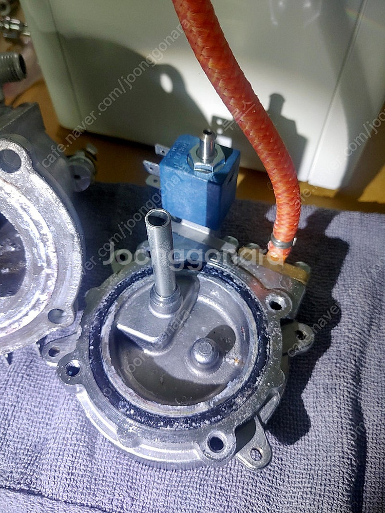 가찌아클래식프로. 화이트--4