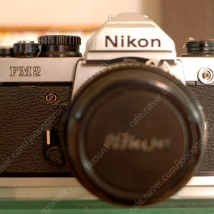 니콘FM2+MF50mm 1.4판매