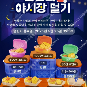 내일자 틱톡 야시장 미접속 2개 1500원 (6/20)