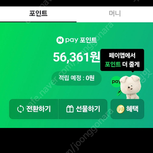 네이버페이5만6천