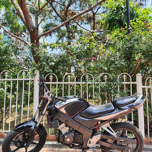 cbr125r