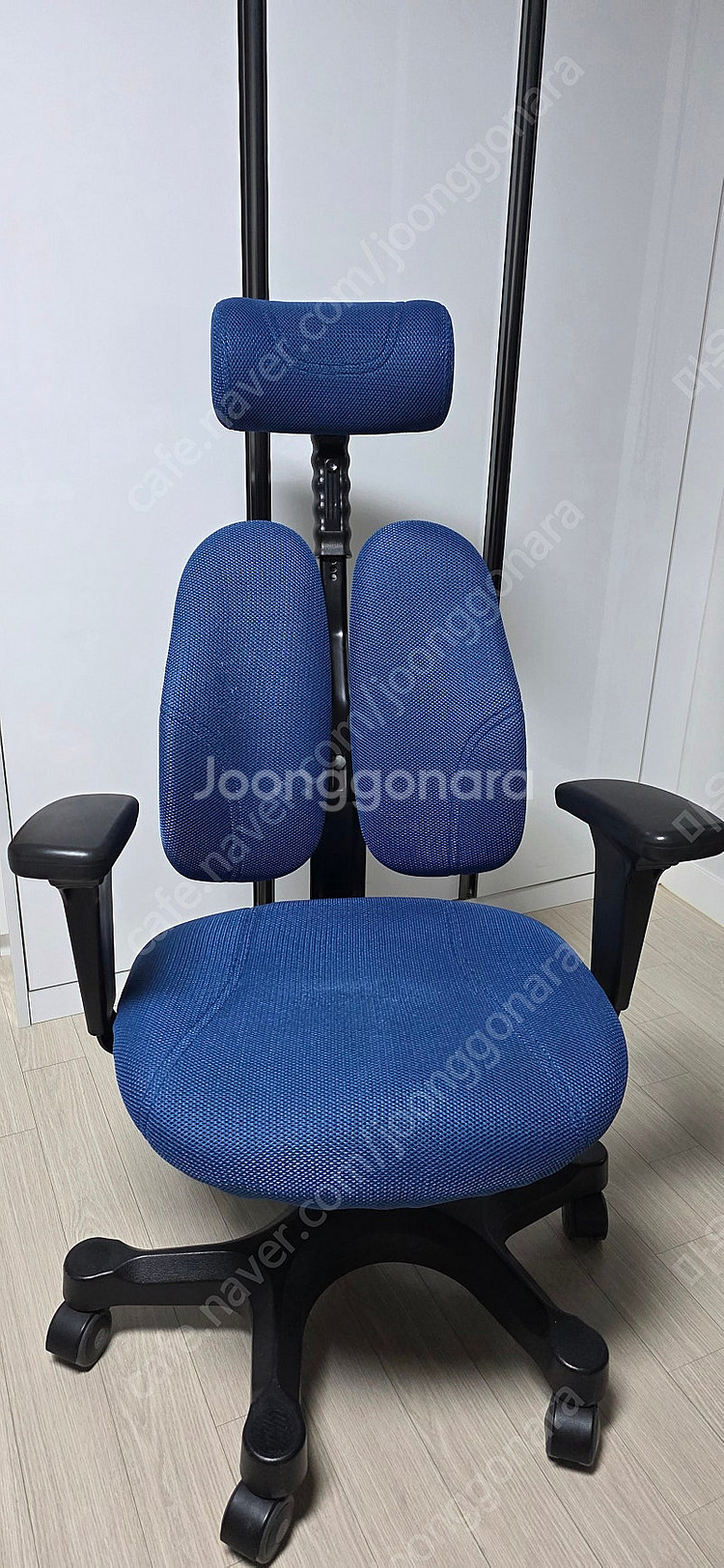 듀오백 DK2500 골드--0