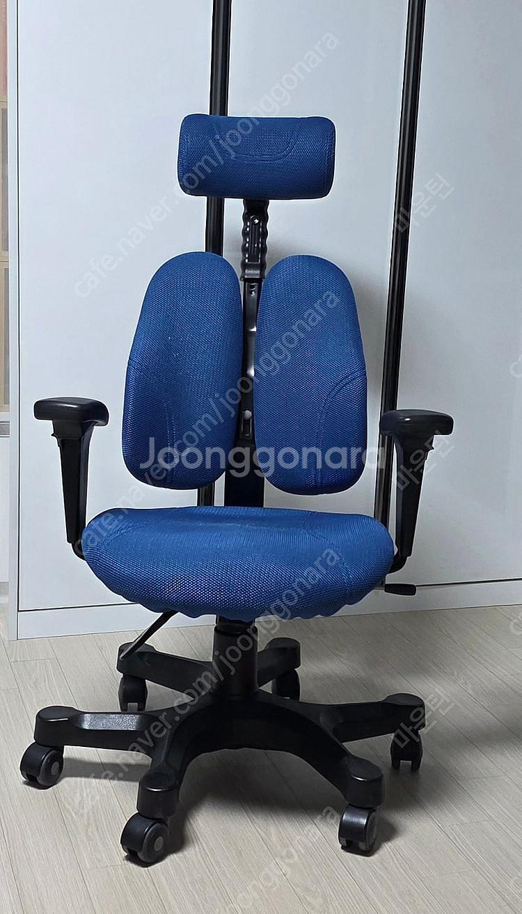 듀오백 DK2500 골드--1
