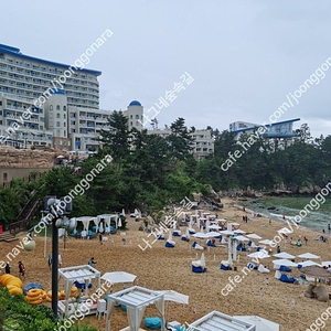 6월 28일 토요일 삼척 쏠비치 리조트 패밀리 비치오션뷰 침대/클린 양도합니다.