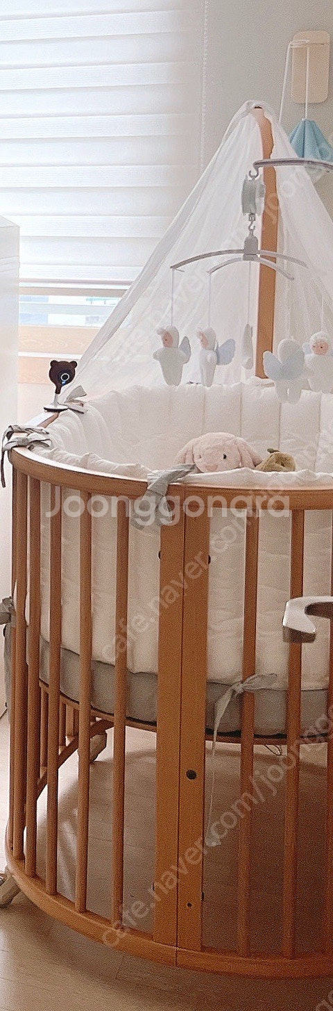 트루세리에 천사모빌--0