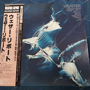 수입 퓨젼 재즈 명반 엘피 LP