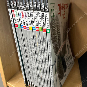과학동아 2023년 1~12월호 12권