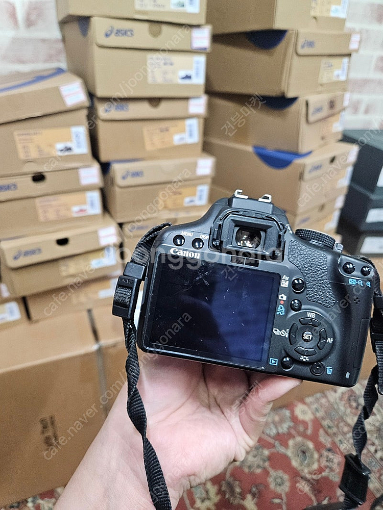 미놀타x300 캐논500d , 쿼츠데이트 카메라--2