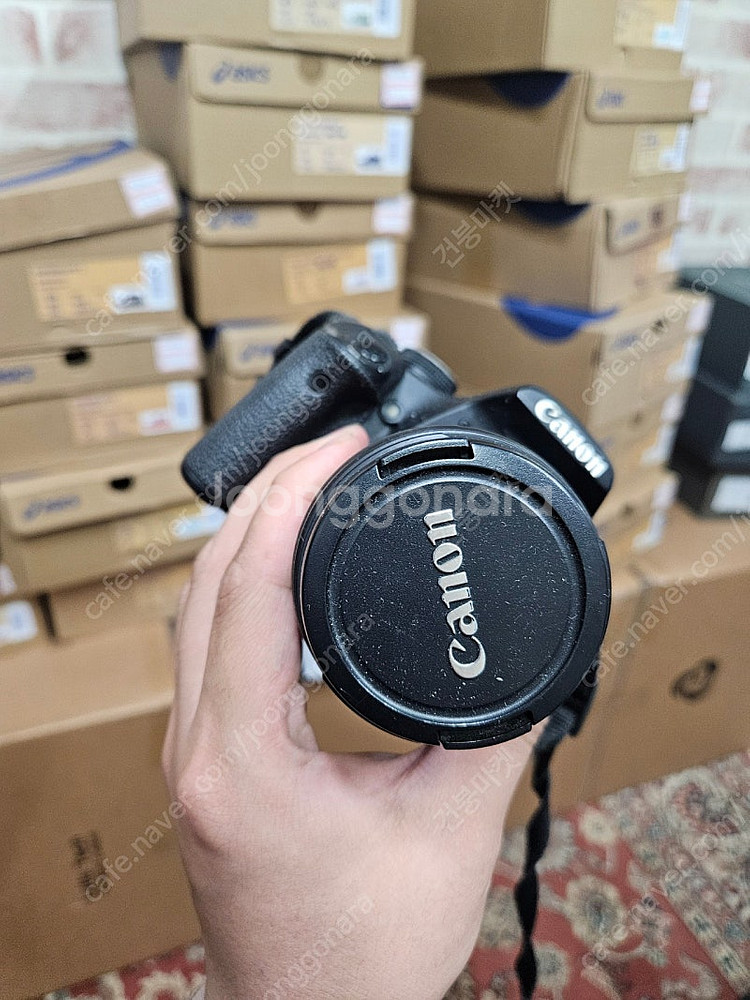 미놀타x300 캐논500d , 쿼츠데이트 카메라--4