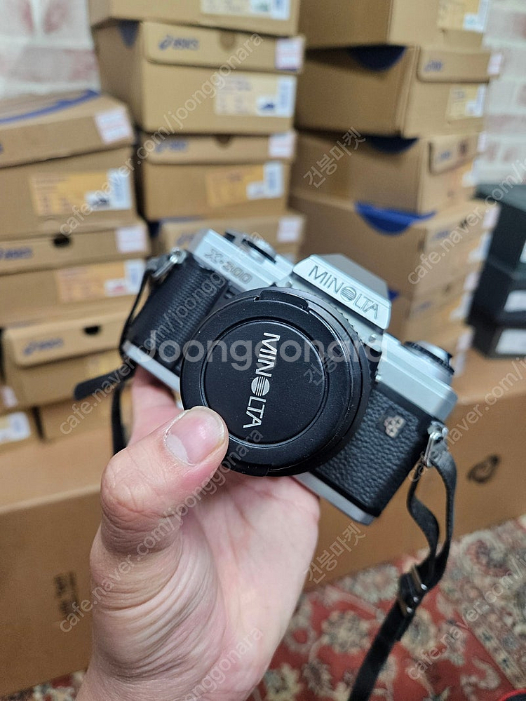 미놀타x300 캐논500d , 쿼츠데이트 카메라--6