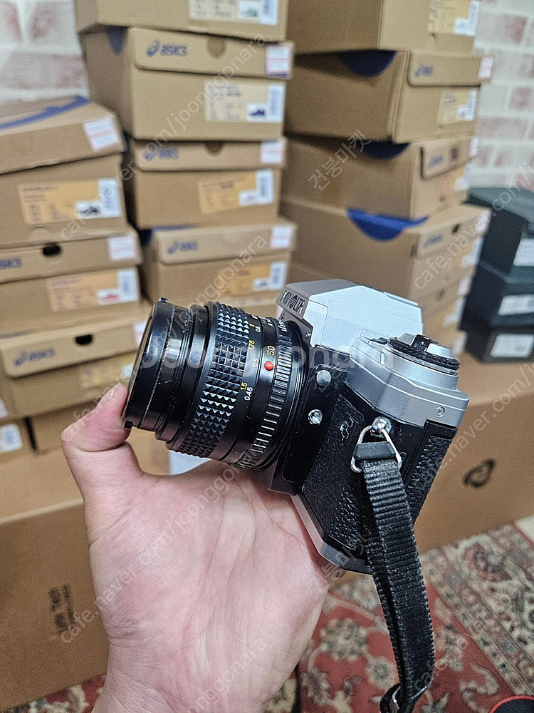 미놀타x300 캐논500d , 쿼츠데이트 카메라--8