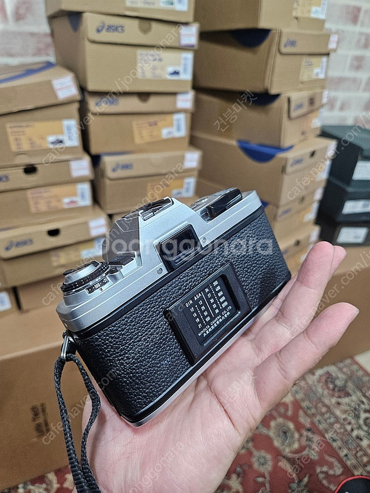 미놀타x300 캐논500d , 쿼츠데이트 카메라--9