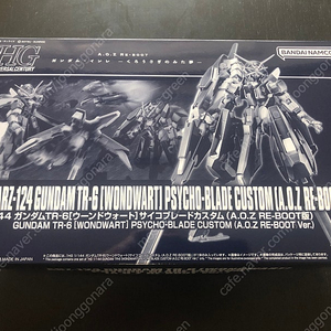 HG 건담 TR-6 운드워트 사이코 블레이드 커스텀