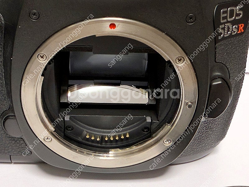 케논 EOS 5Dsr 판매 합니다.--5