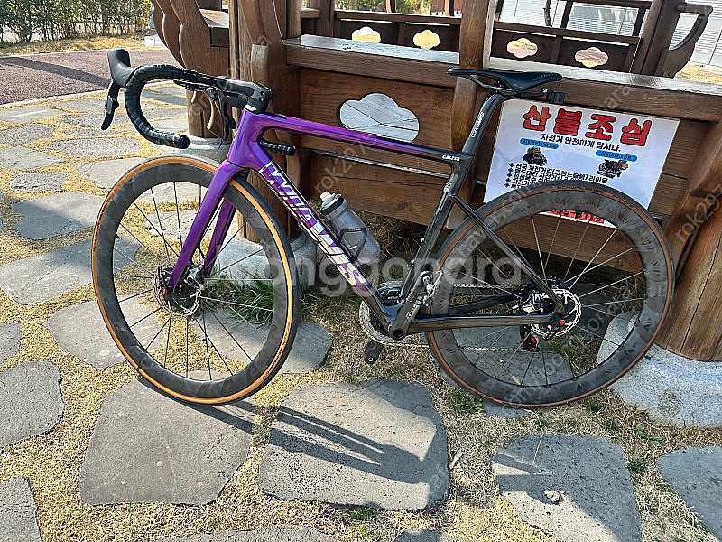 위아위스 레디컬프로 반차--0