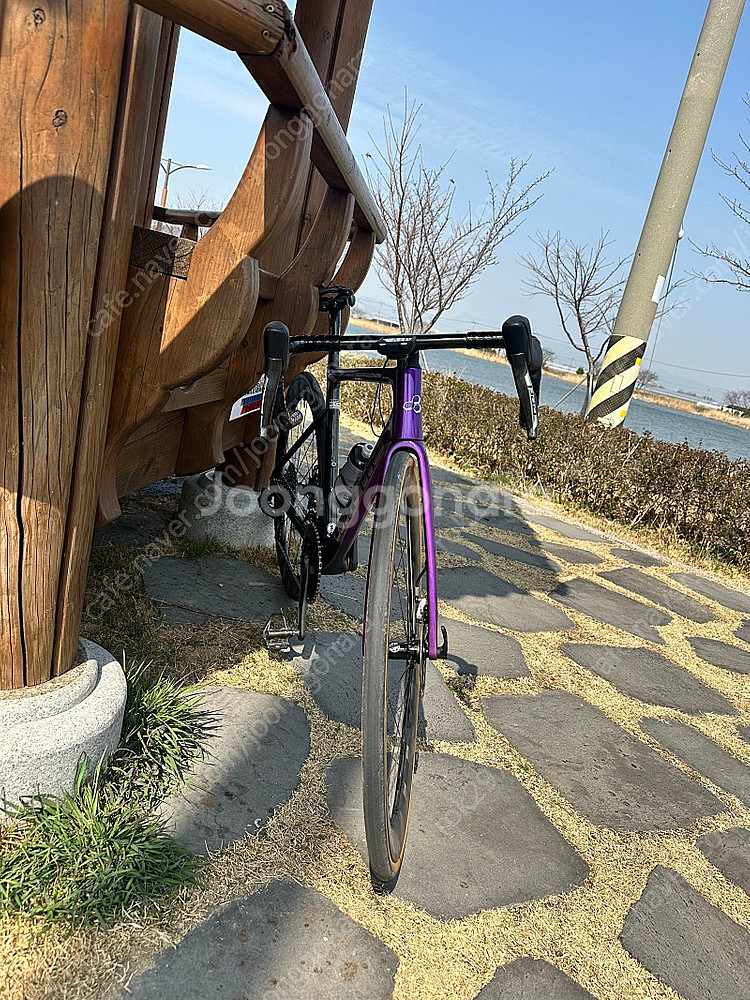 위아위스 레디컬프로 반차--1