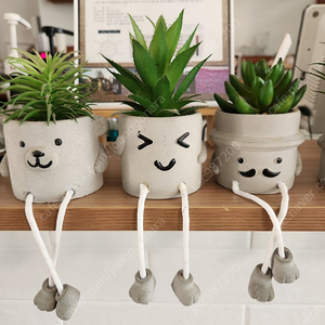 인조 선인장 화분 이모티콘